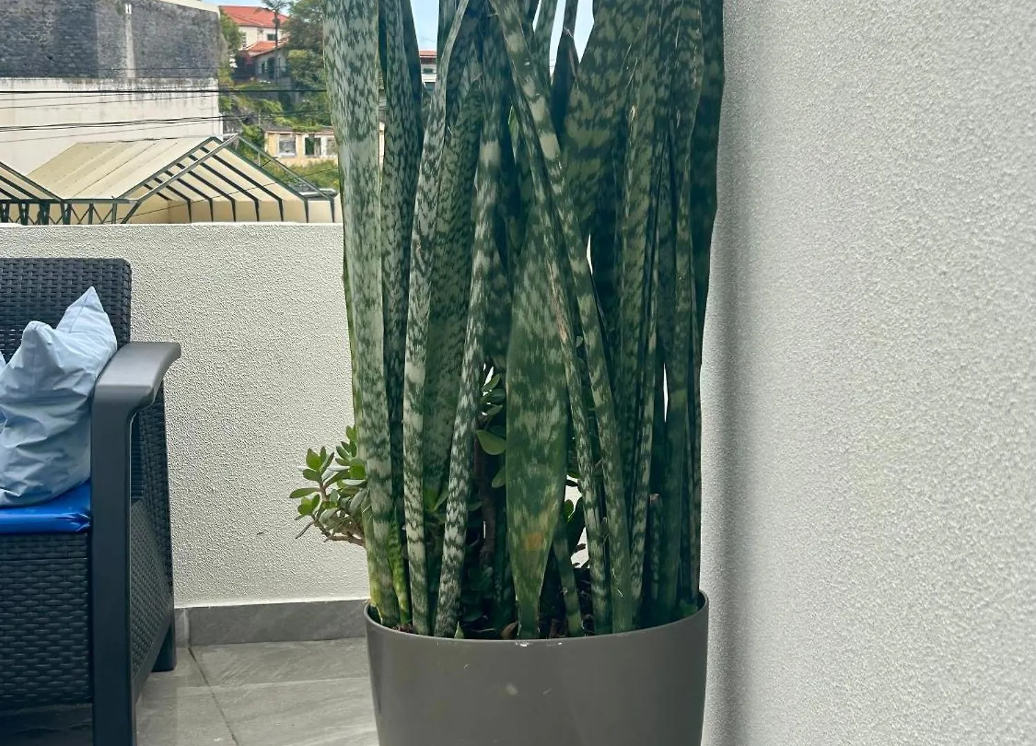 Holiday Apartments Funchal - Rosemary