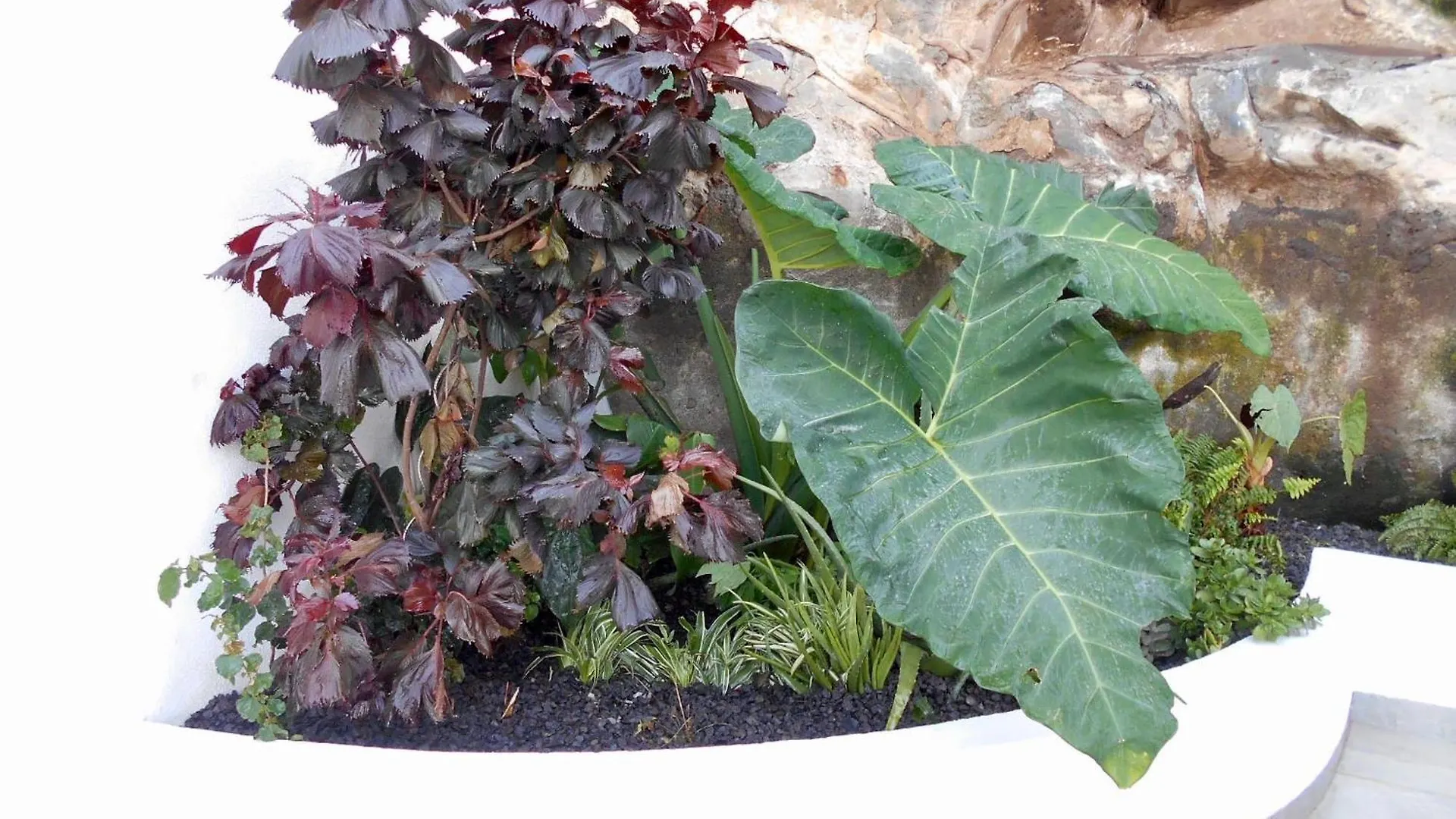 Holiday Apartments Funchal - Rosemary Portugal